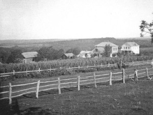 Early Daleyville Houses